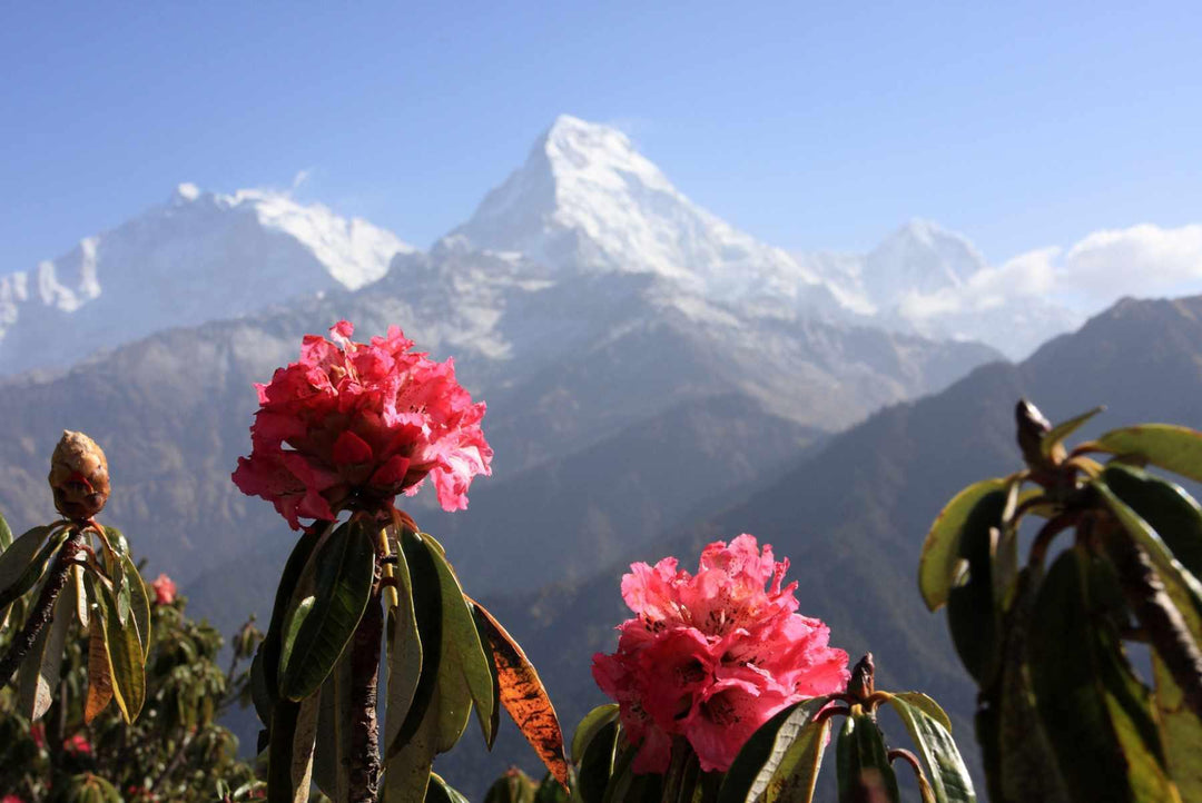 The Artisan Culture of Nepal: A Rich Heritage of Handicrafts
